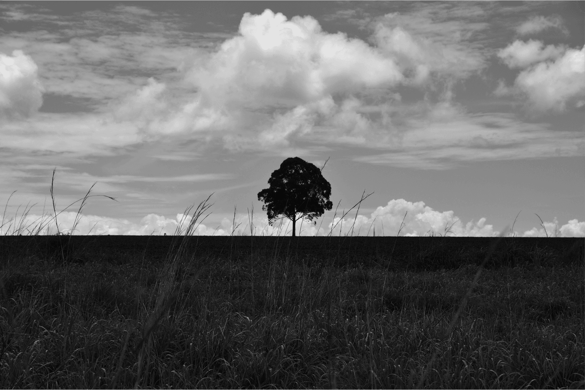 Largo: Entretempos Fotográficos